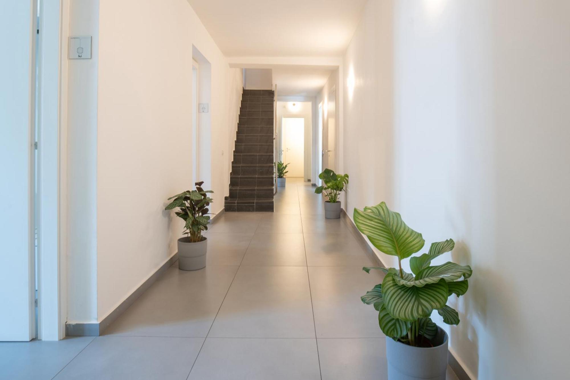 Suite Inn Catania Affittacamere